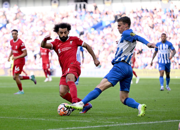 得很成熟 得很成熟