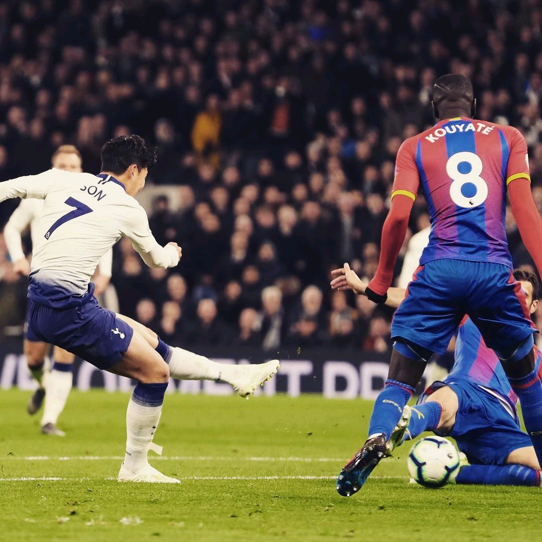 仅反映了他 仅反映了他